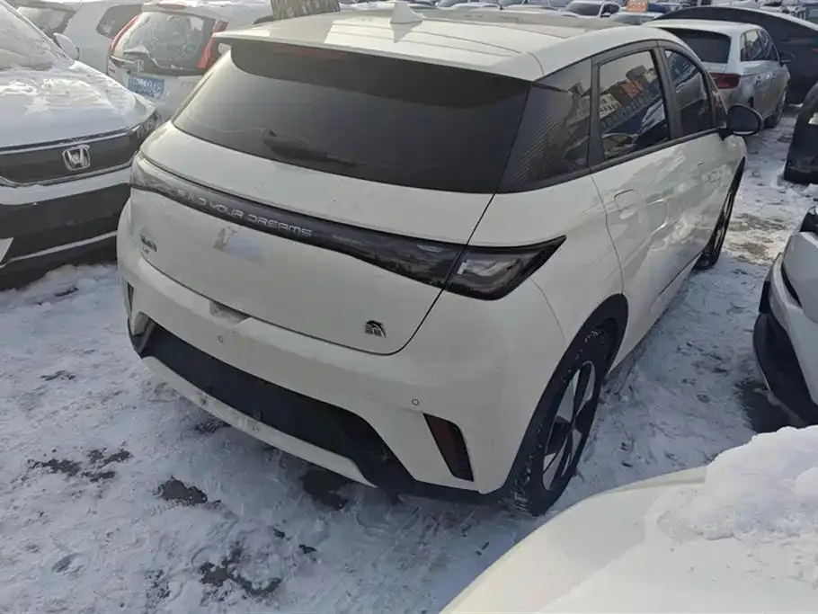 BYD Dolphin 2023 из CN, фото 3