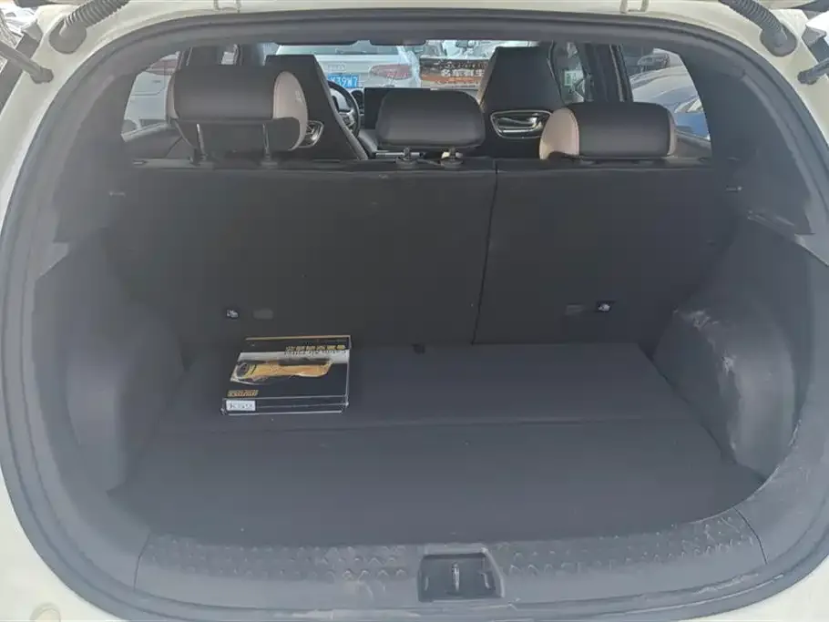 BYD Dolphin 2023 из CN, фото 4