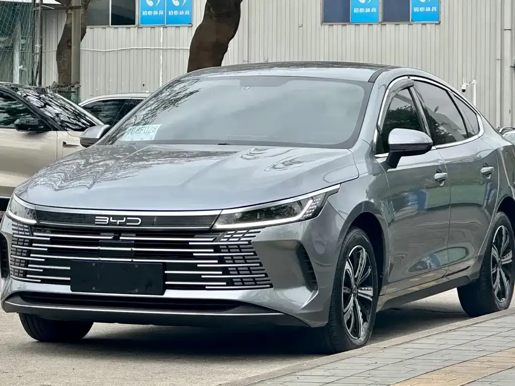 BYD Destroyer 05 2024 из CN, фото 1