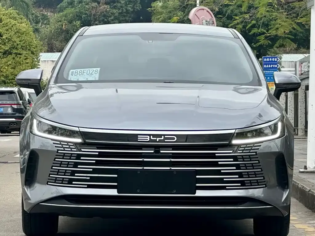 BYD Destroyer 05 2024 из CN, фото 2