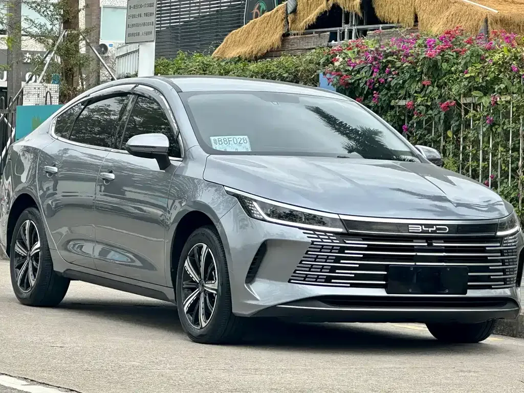 BYD Destroyer 05 2024 из CN, фото 9