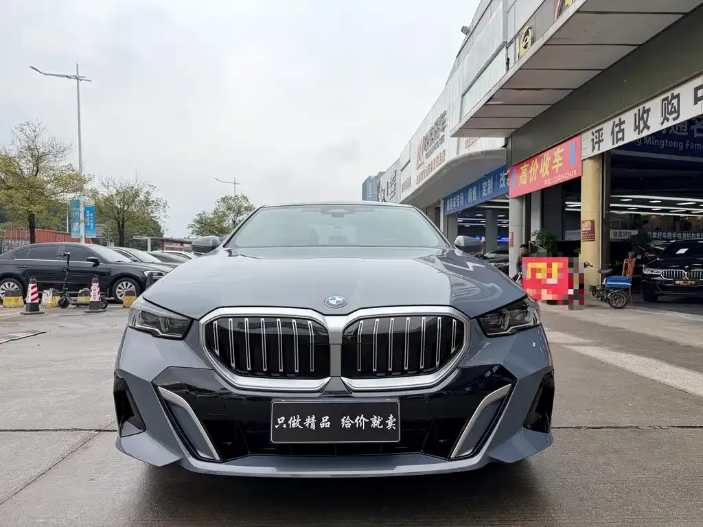 BMW 5 Series 2024 из CN, фото 8