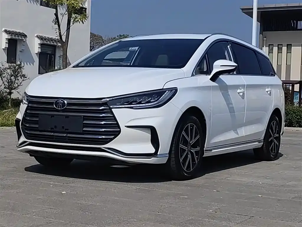 BYD MAX New Energy 2024 из CN, фото 1