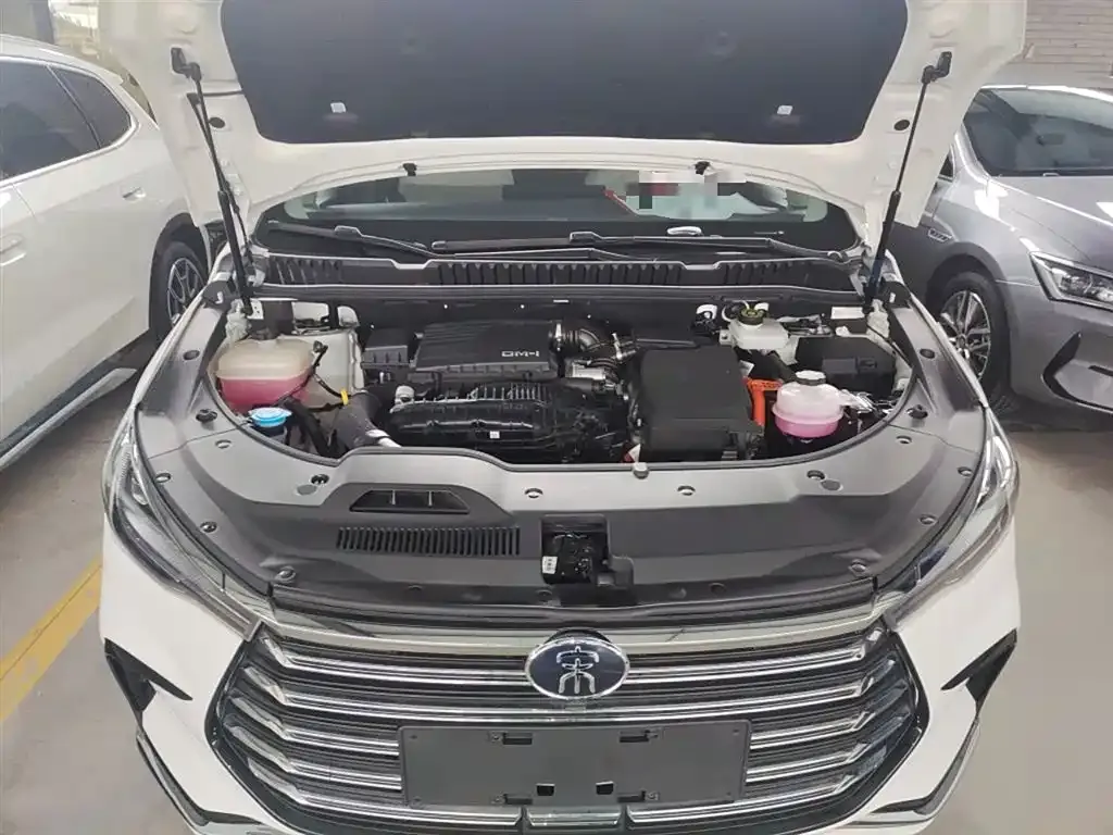 BYD MAX New Energy 2024 из CN, фото 8