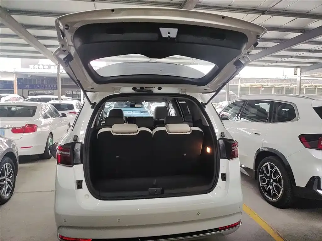 BYD MAX New Energy 2024 из CN, фото 9