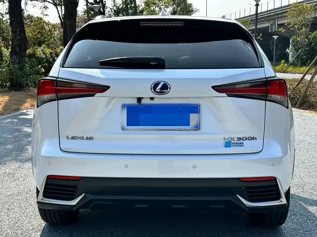 Lexus NX — фото 8