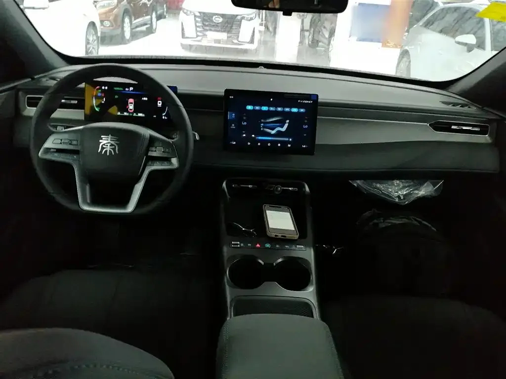 BYD Qin PLUS — фото 10