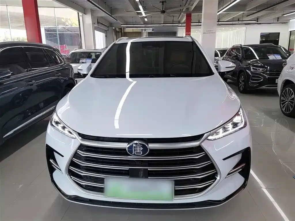 BYD Tang New Energy 2023 из CN, фото 4