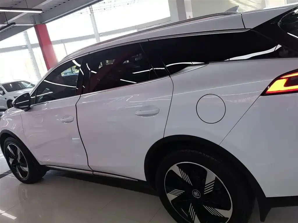 BYD Tang New Energy 2023 из CN, фото 10