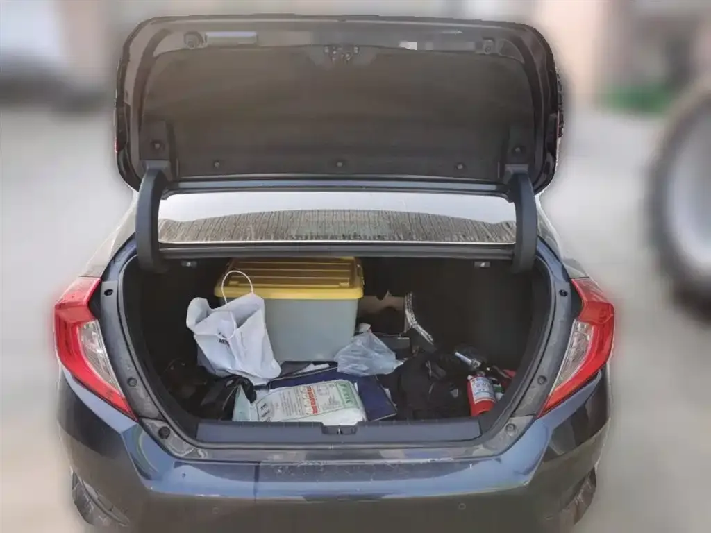 Honda Civic 2021 из CN, фото 4