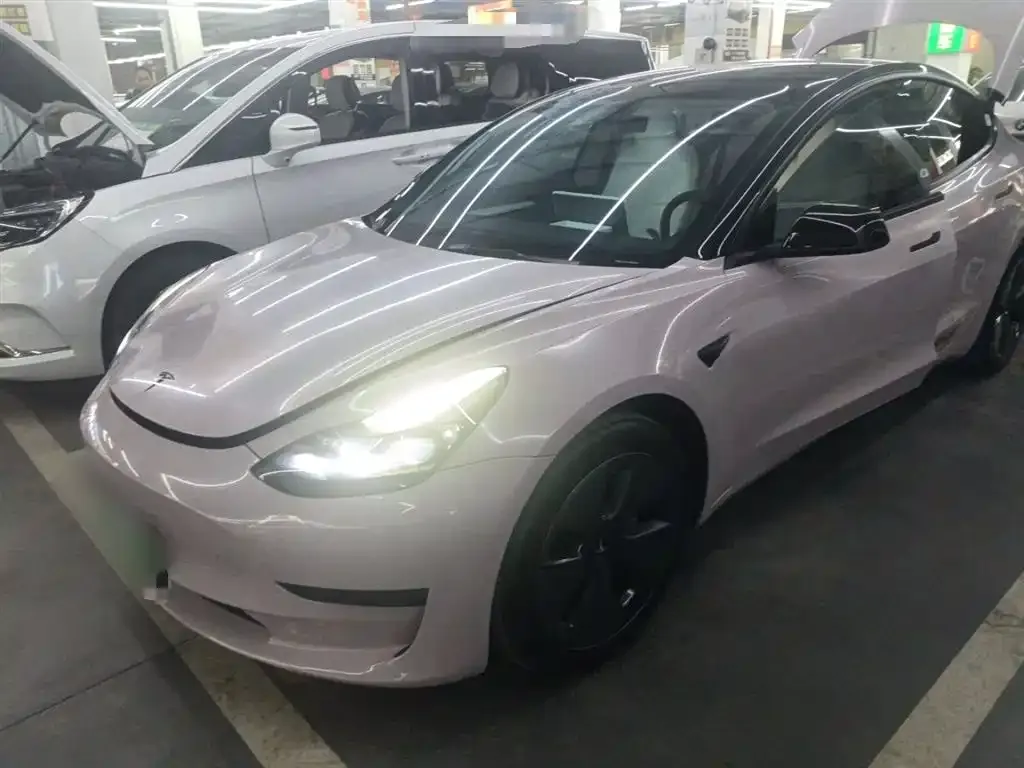 Tesla Model 3 2021 из CN, фото 1