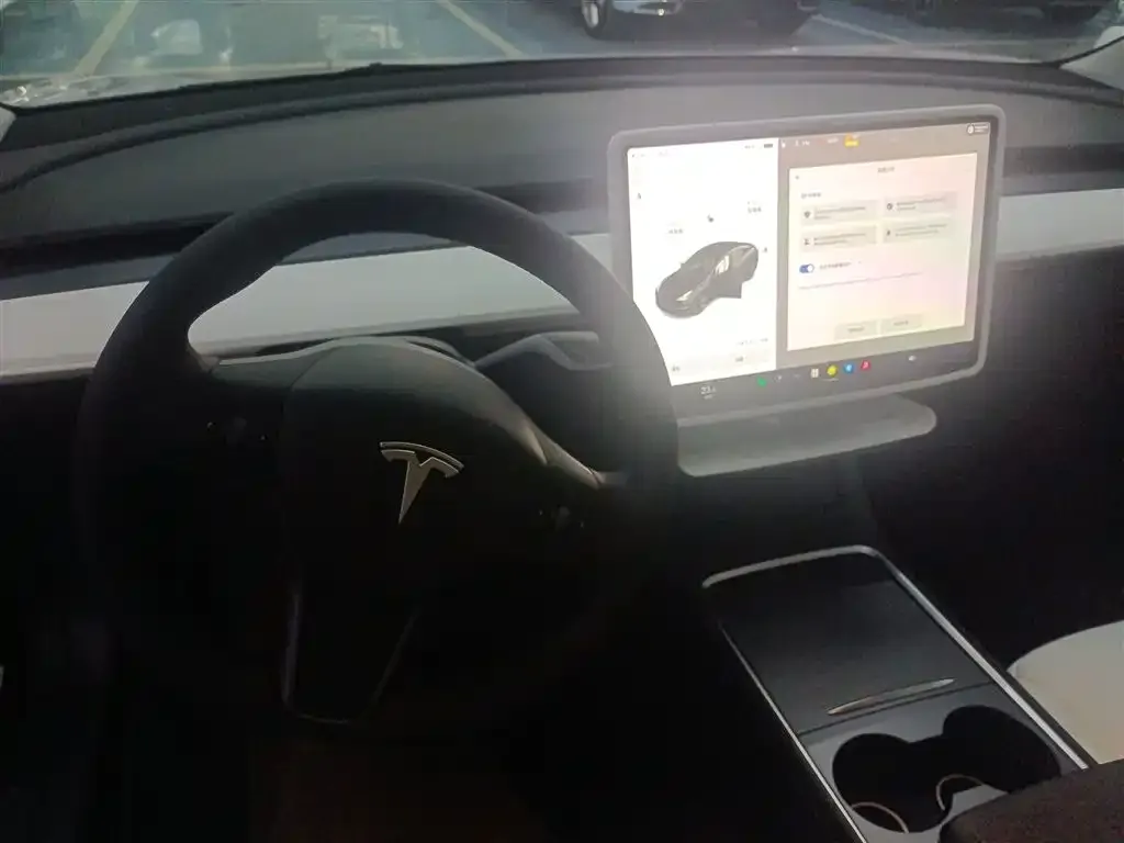 Tesla Model 3 2021 из CN, фото 9