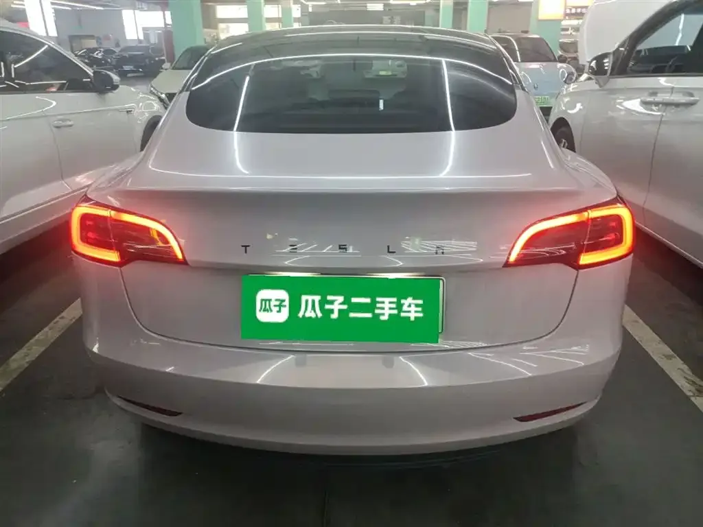 Tesla Model 3 2021 из CN, фото 5