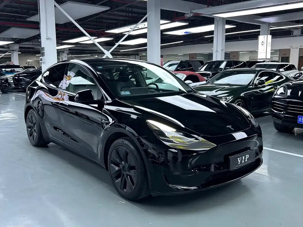 Tesla Model Y — фото 9