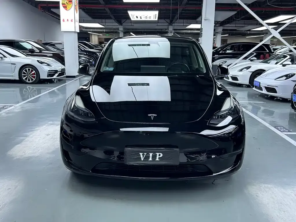 Tesla Model Y — фото 5