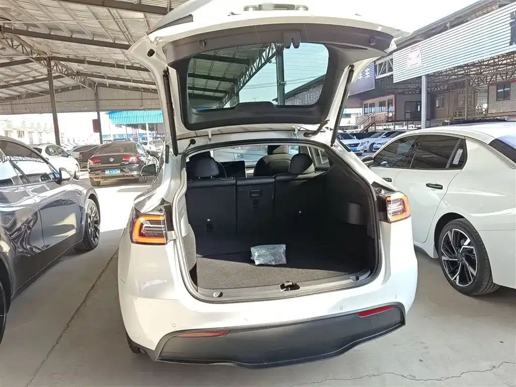 Tesla Model Y — фото 10