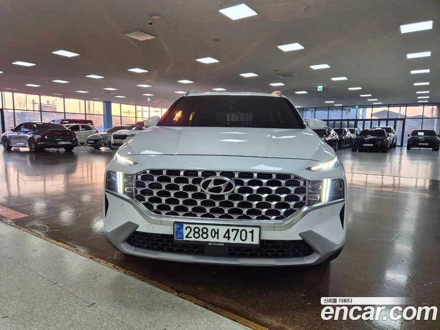 Hyundai Santafe 2021 из KR, фото 9