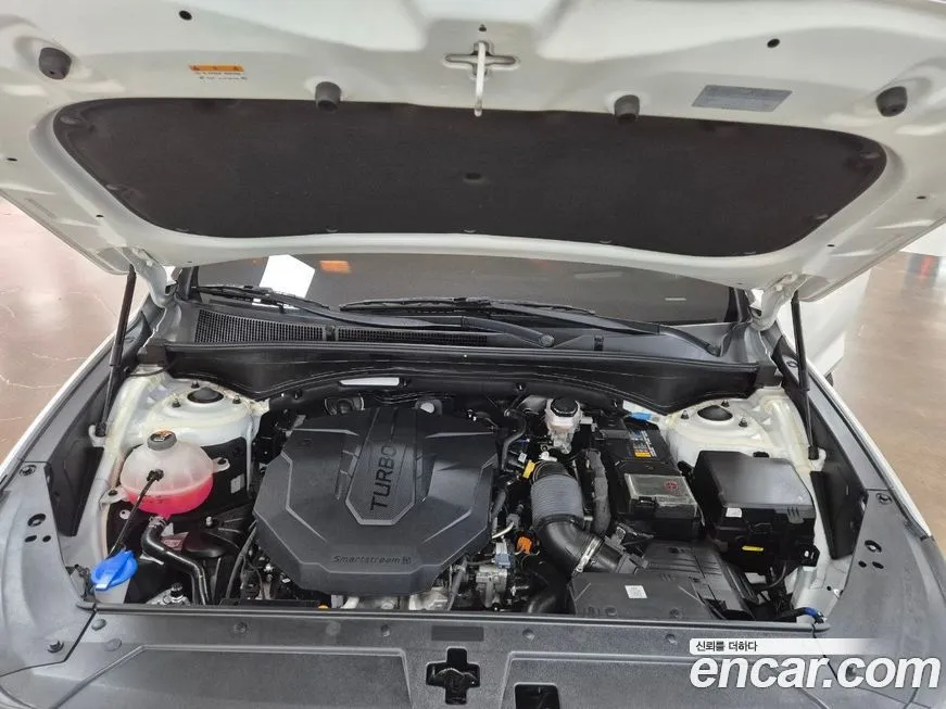 Hyundai Santafe 2021 из KR, фото 7