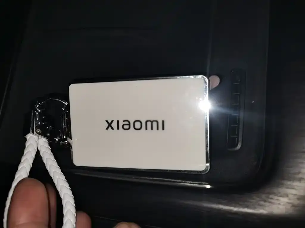 Xiaomi SU7 2024 из CN, фото 8