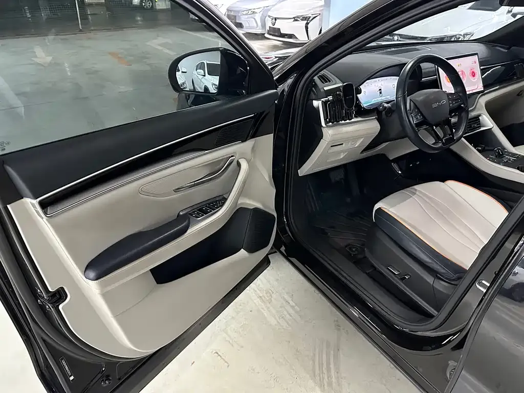 BYD PLUS New Energy — фото 10