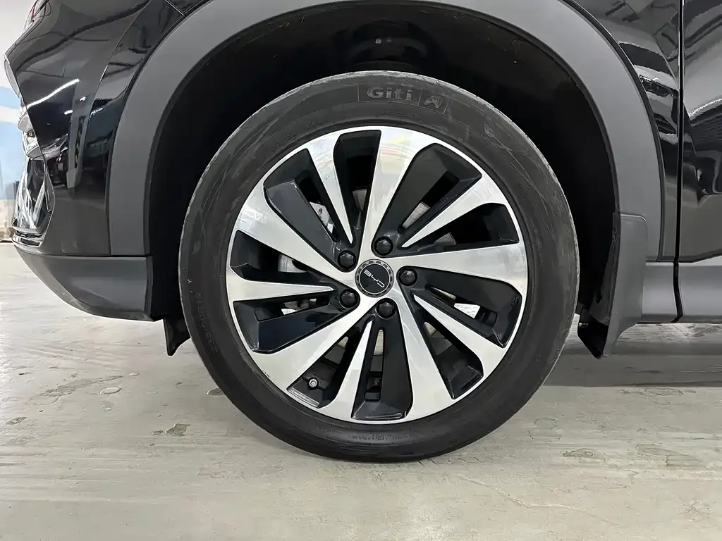 BYD PLUS New Energy — фото 8