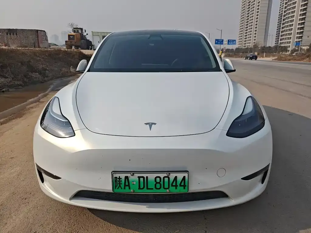 Tesla Model Y 2022 из CN, фото 1