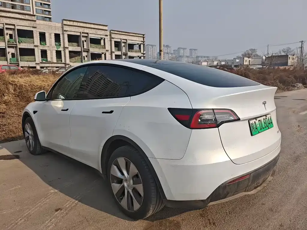 Tesla Model Y 2022 из CN, фото 6