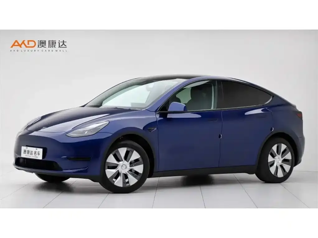 Tesla Model Y 2023 из CN, фото 1