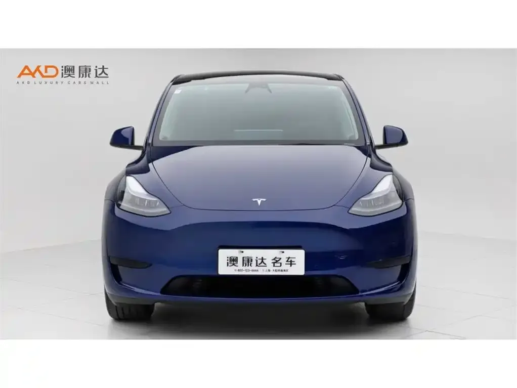 Tesla Model Y 2023 из CN, фото 5