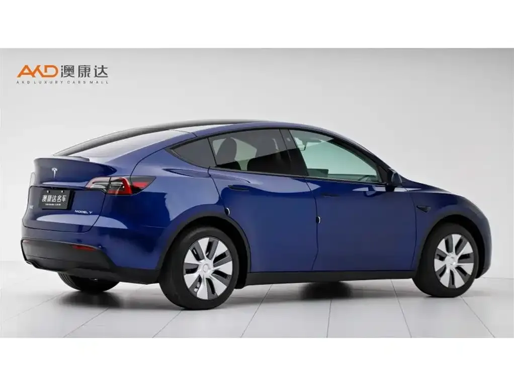 Tesla Model Y 2023 из CN, фото 10