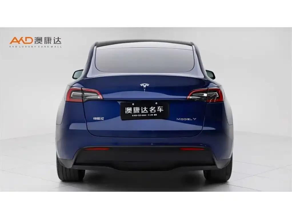 Tesla Model Y 2023 из CN, фото 6