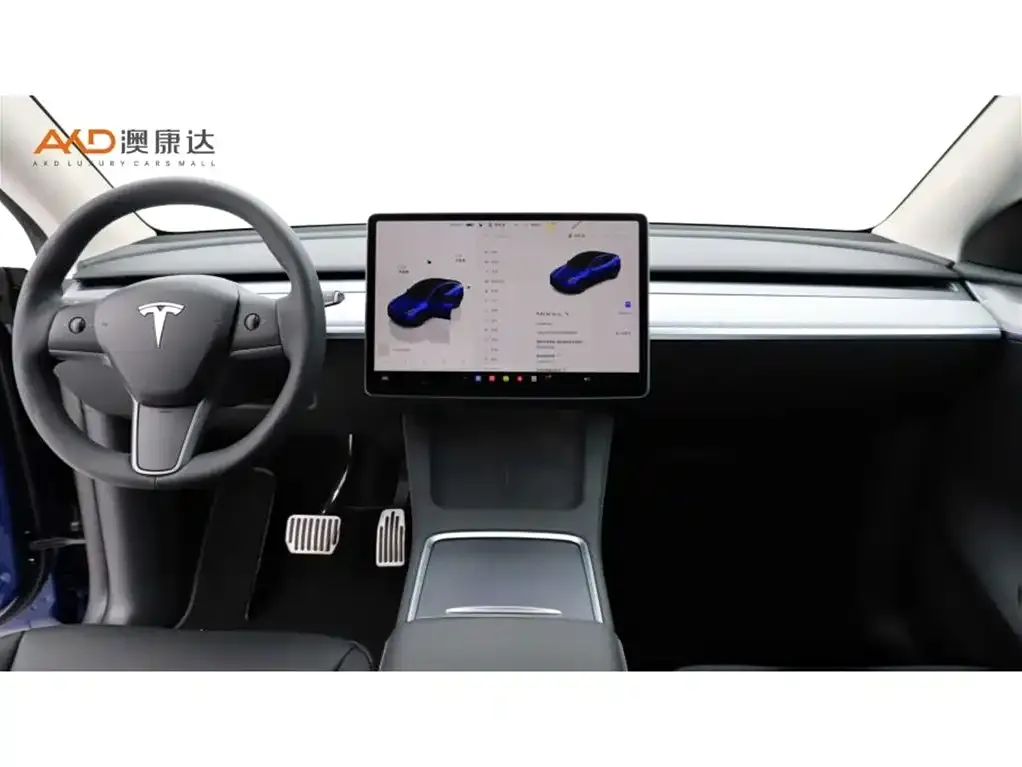 Tesla Model Y 2023 из CN, фото 4