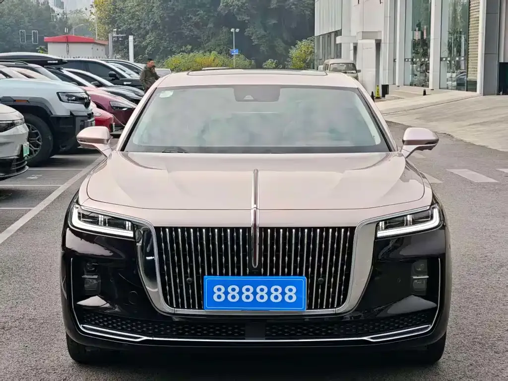 Hongqi H9 2021 из CN, фото 9