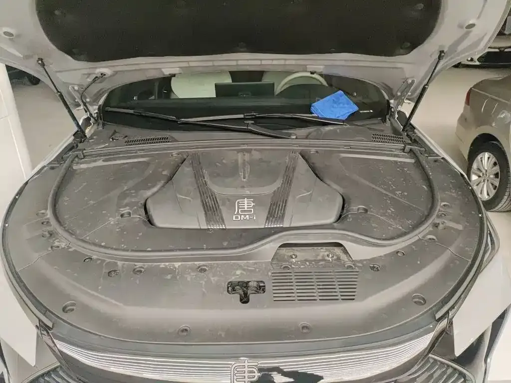BYD Tang New Energy 2024 из CN, фото 6