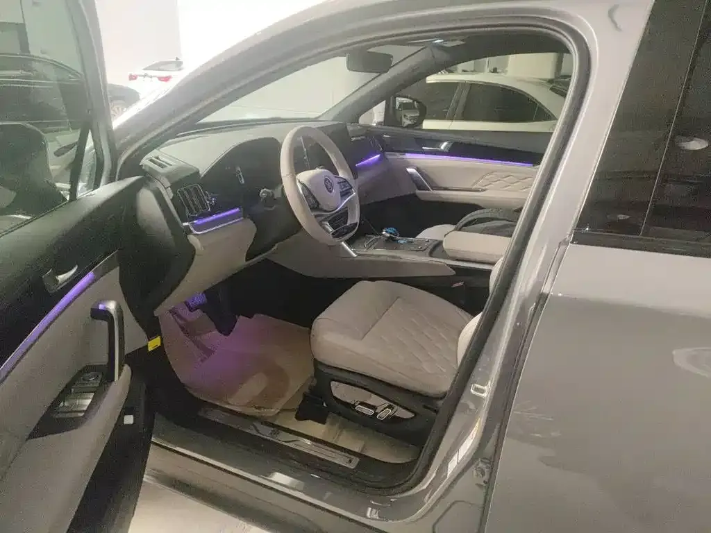 BYD Tang New Energy 2024 из CN, фото 9