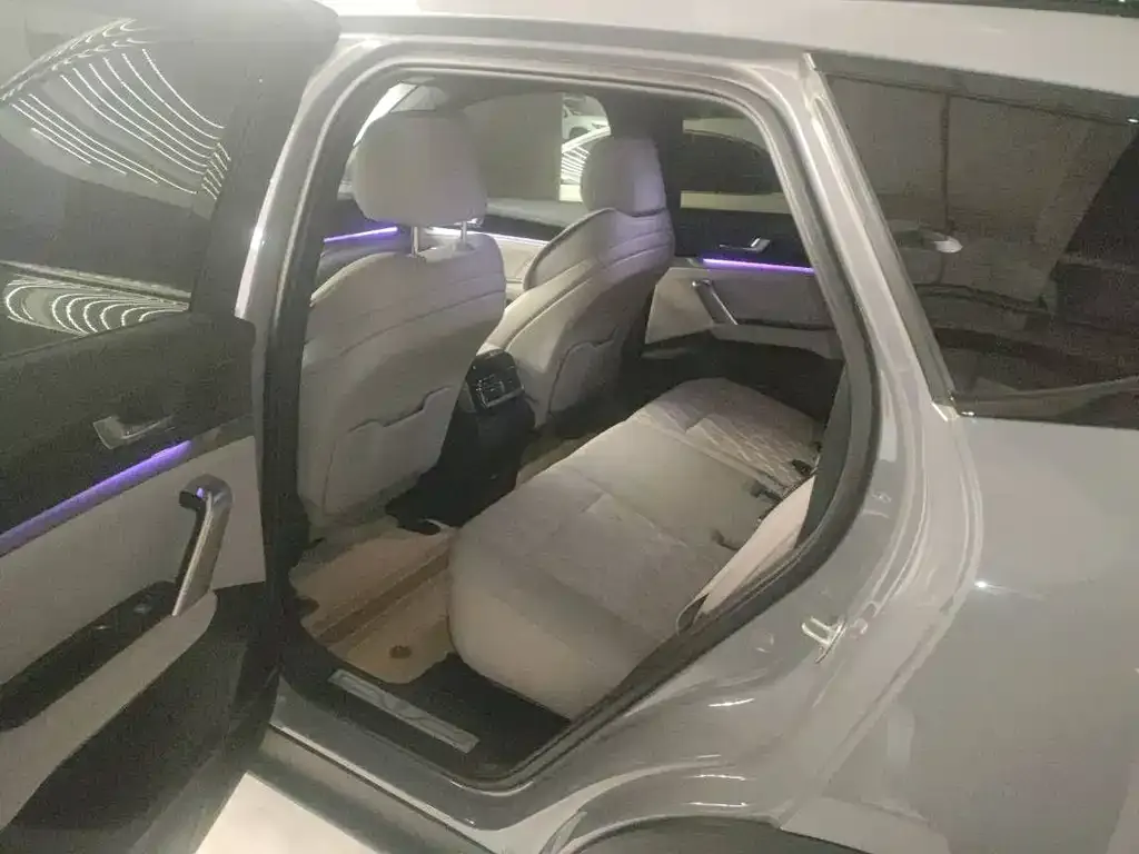 BYD Tang New Energy 2024 из CN, фото 10