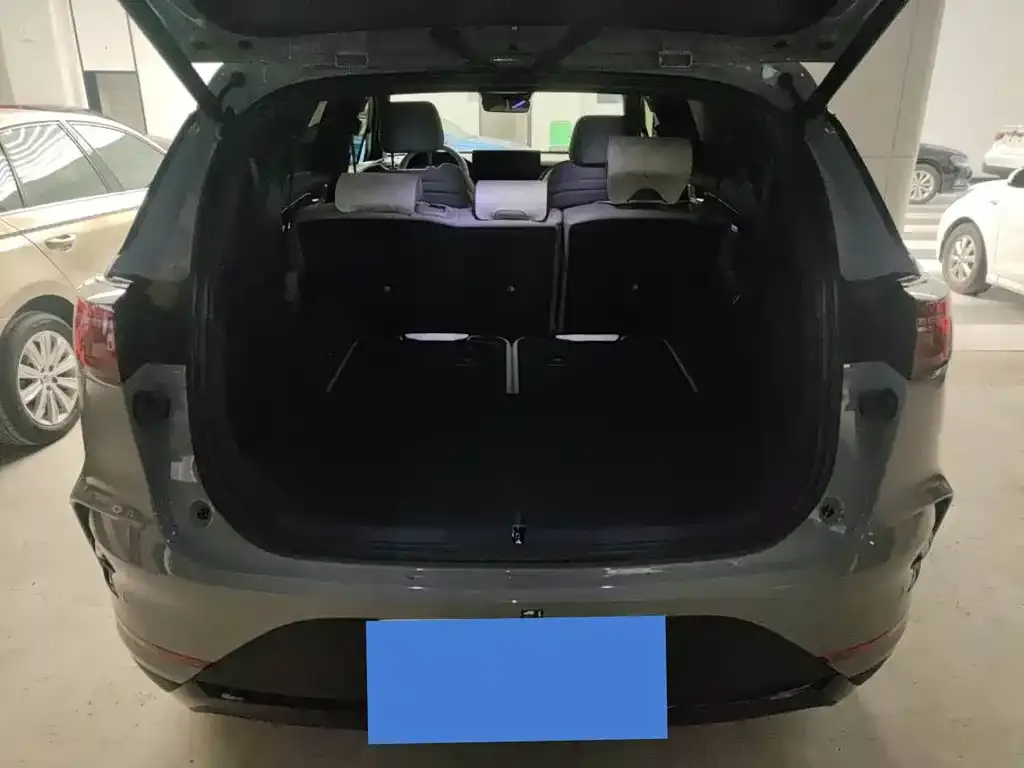 BYD Tang New Energy 2024 из CN, фото 4