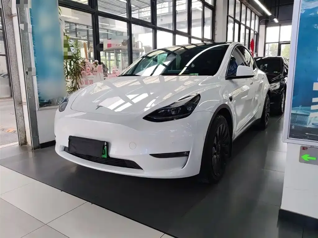 Tesla Model Y — фото 3