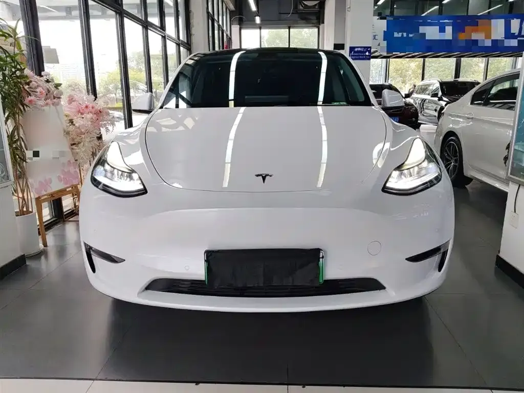 Tesla Model Y — фото 2