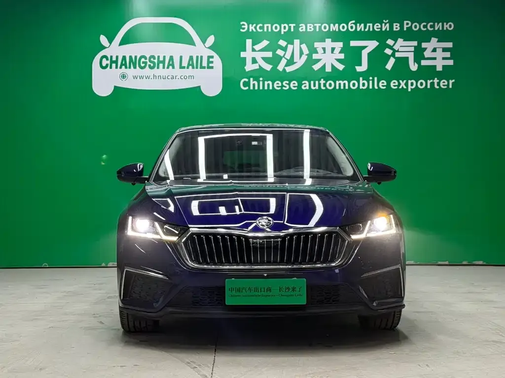 Skoda Octavia 2021 из CN, фото 5