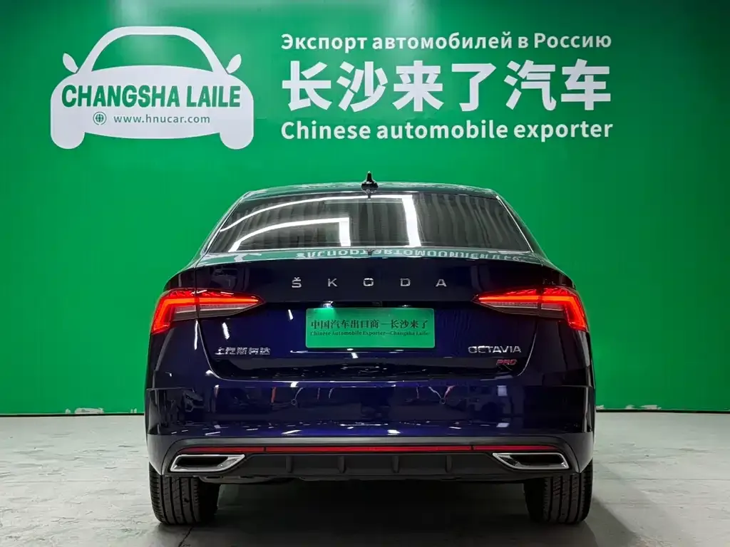 Skoda Octavia 2021 из CN, фото 4