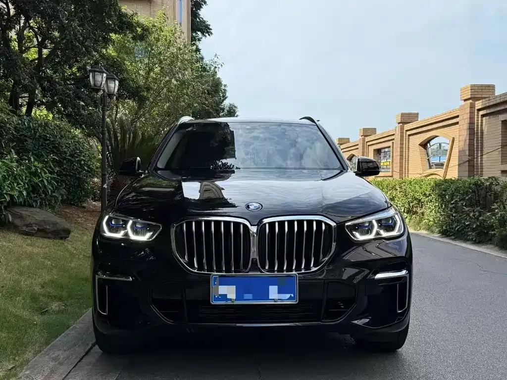 BMW X5 2022 из CN, фото 1