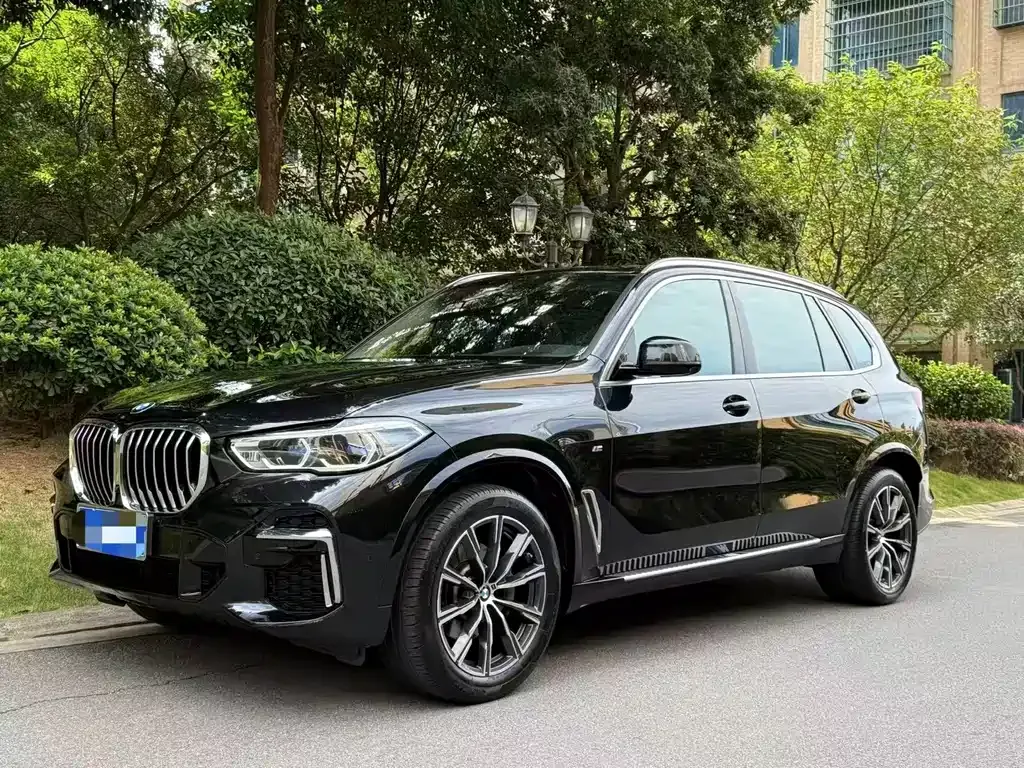BMW X5 2022 из CN, фото 6