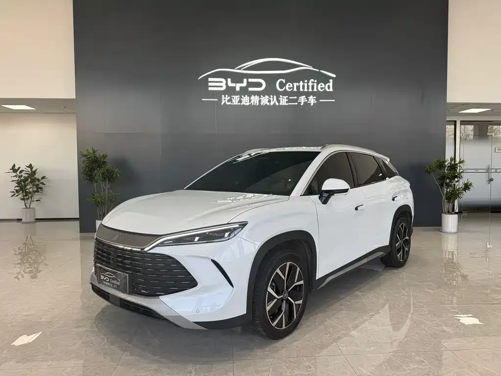 BYD L DM-i 2024 из CN, фото 1