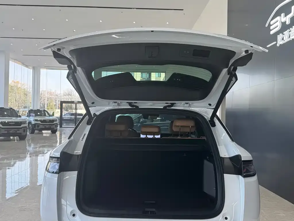 BYD L DM-i 2024 из CN, фото 9