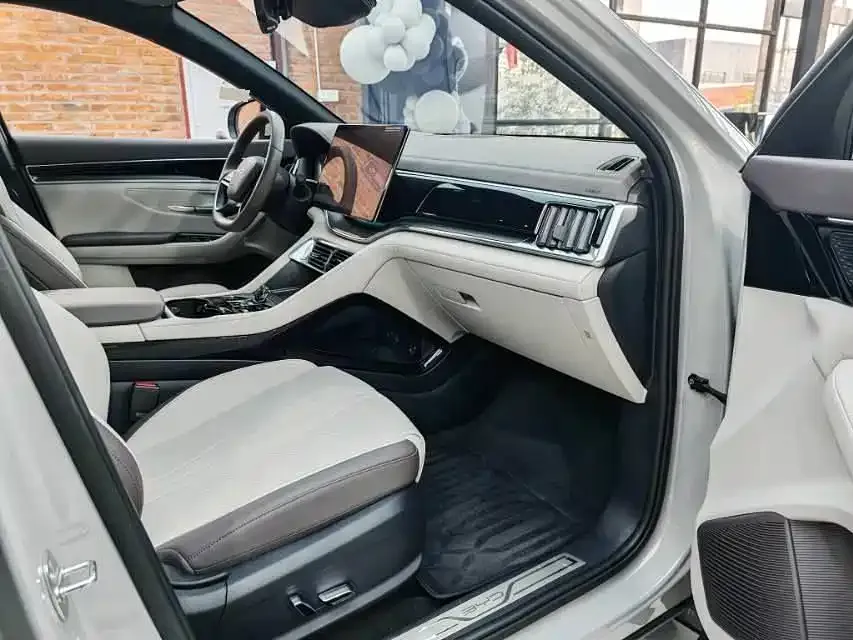 BYD PLUS New Energy 2025 из CN, фото 9