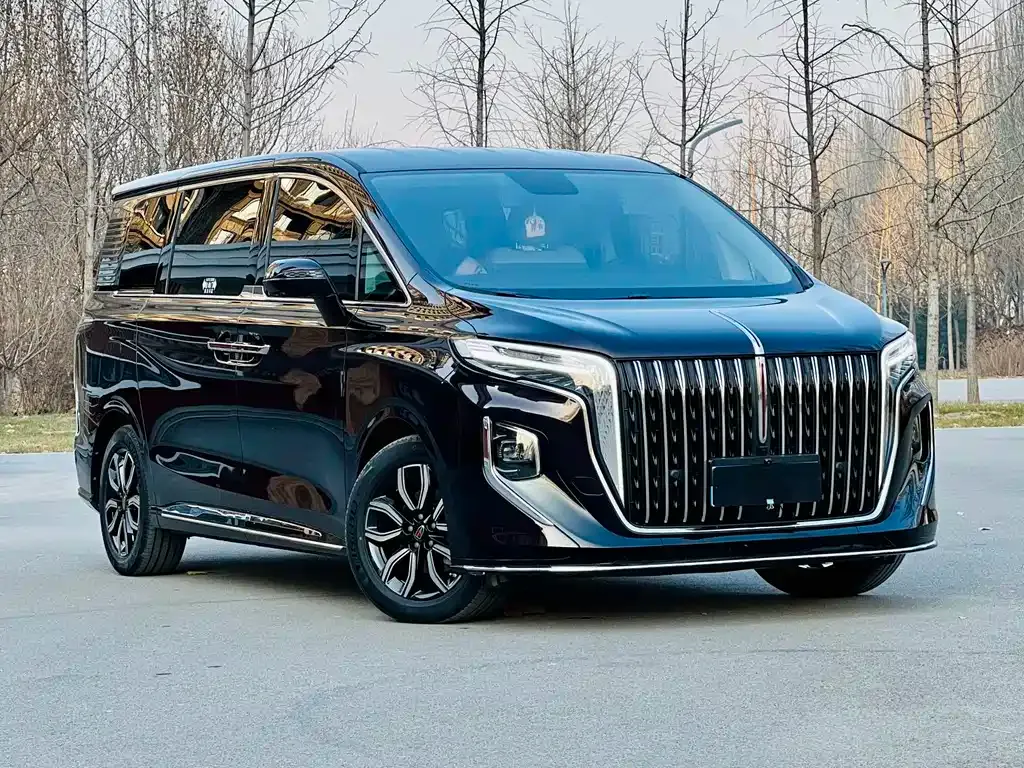 Hongqi HQ9 — фото 5