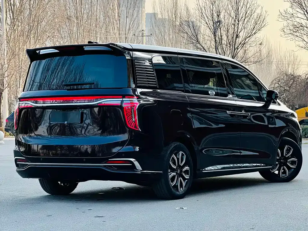 Hongqi HQ9 — фото 8
