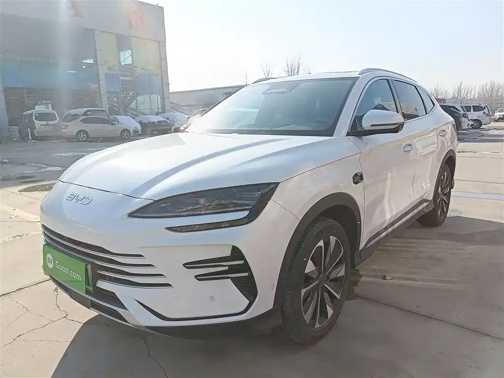 BYD PLUS New Energy — фото 2