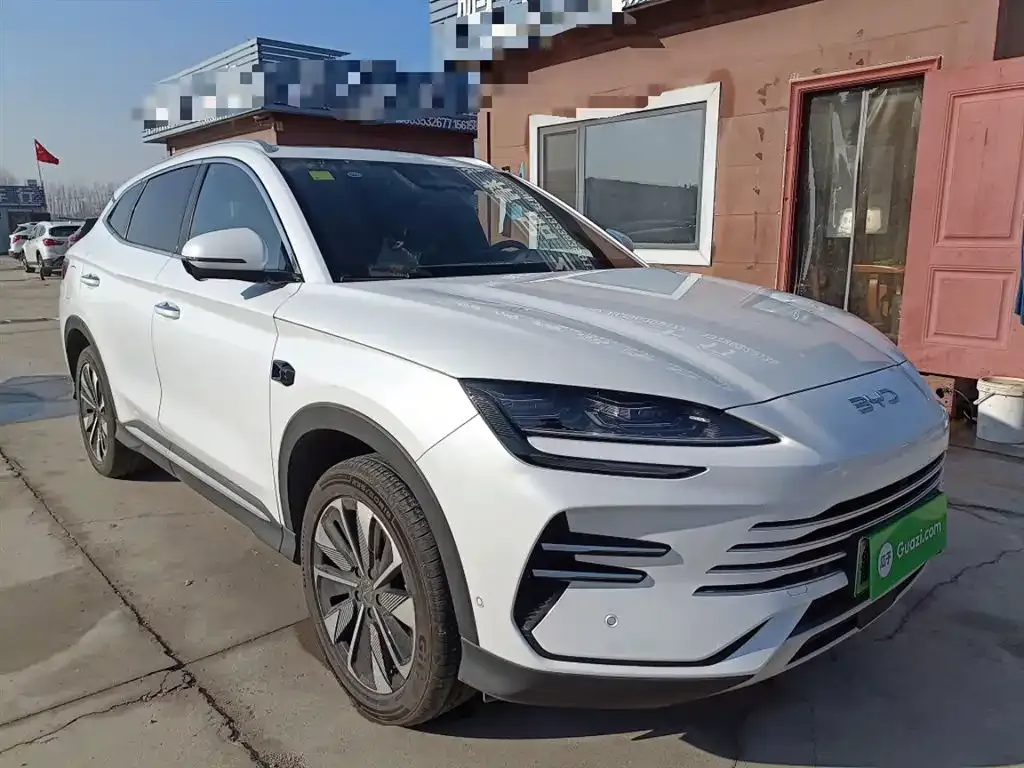 BYD PLUS New Energy — фото 4